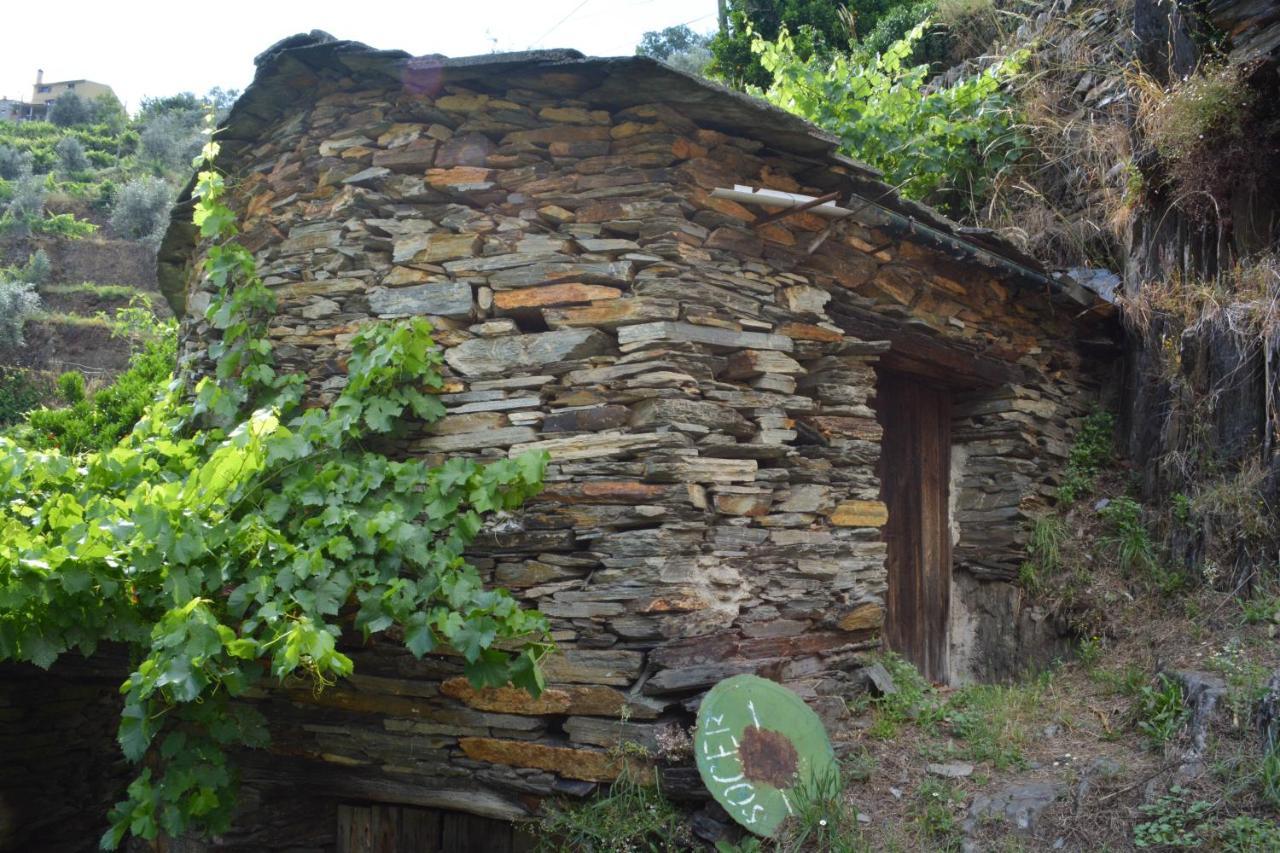 Villa Casa Do Azereiro Casal do Rei  Exterior foto